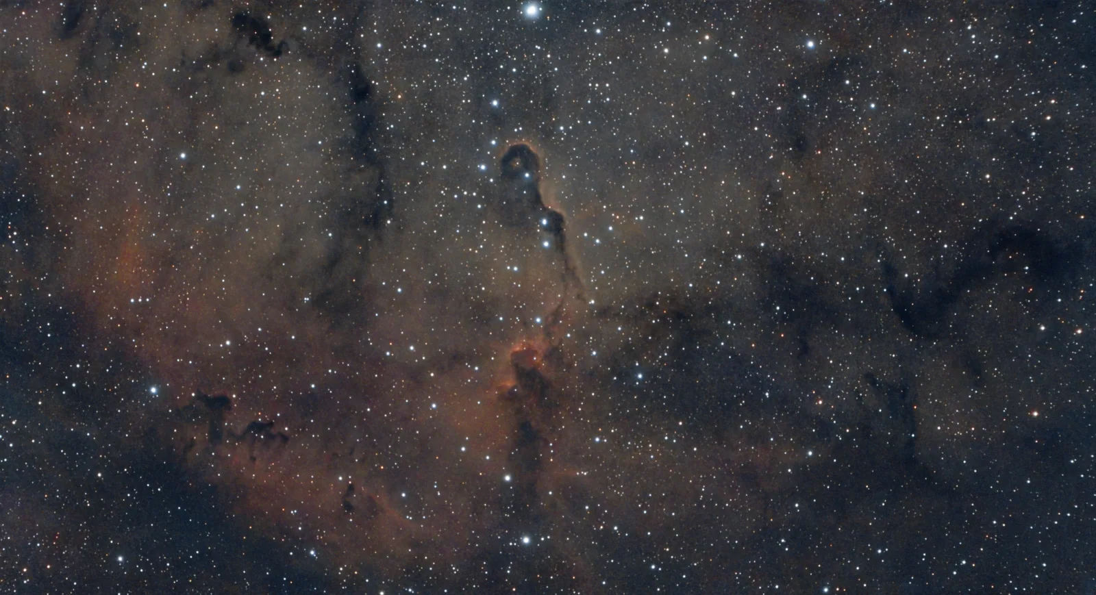 Elephants Trunk - Seestar (Smart Telescope)