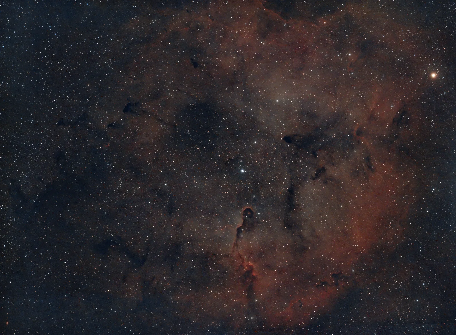 Elephants Trunk - with stars